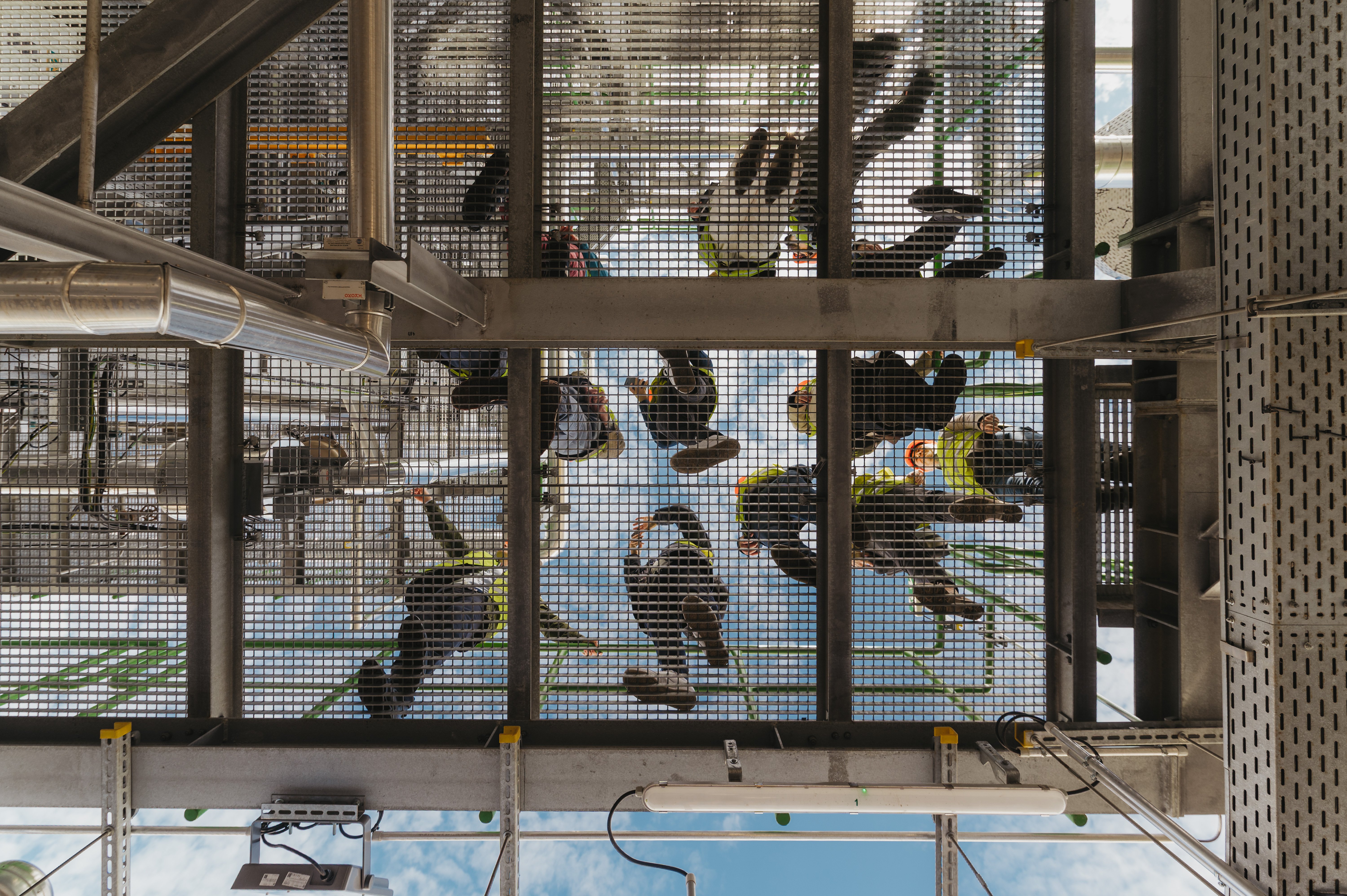 February at Kyoto Group: From volatility to security